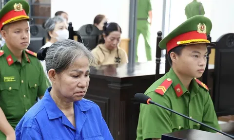 Lừa đảo chiếm đoạt hơn 14,3 tỷ đồng, chủ hụi lãnh 17 năm tù