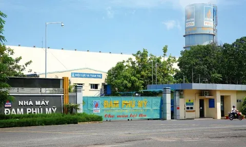 Giá ure tăng hơn 60% từ đầu năm, tồn kho của Đạm Phú Mỹ (DPM) hiện giá trị ra sao?