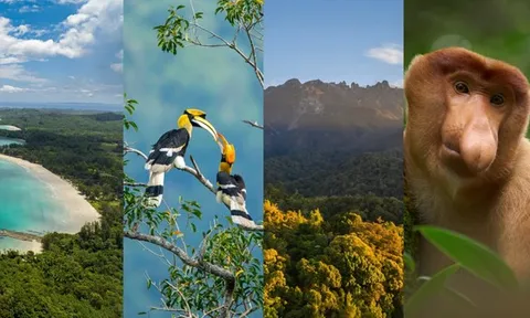 Club Med Borneo chính thức mở đặt chỗ cho điểm đến nghỉ dưỡng rực rỡ nắng vàng tại Kota Kinabalu, Malaysia