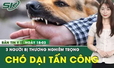 Bản tin Y tế 18/3: 3 người dân bị chó dại tuột xích tấn công nguy kịch