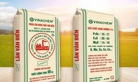 Cổ phiếu VAF của Phân lân Văn Điển đối diện nguy cơ hủy niêm yết bắt buộc