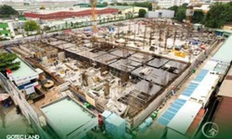 Shizen Home: Kỳ vọng gỡ “nút thắt” pháp lý, hồi sinh dòng tiền