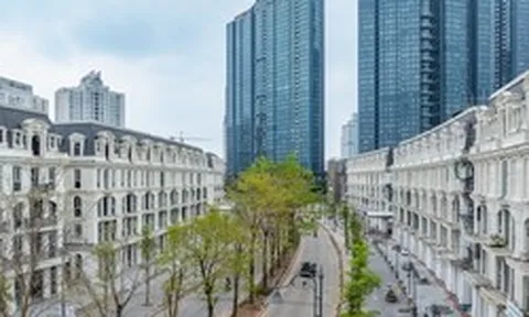 Sau kiểm toán, Sunshine báo lợi nhuận đột phá gần 11.300 tỷ trong 2025, mục tiêu doanh thu 40.000 tỷ năm 2026