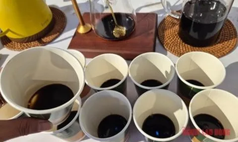 Giá cà phê hôm nay 6-4: Xu hướng sắp tới