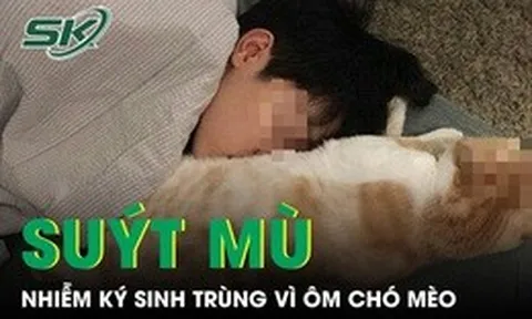 Bé trai 14 tuổi suýt mù vì không rửa tay sau khi ôm chó mèo