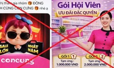 Sập bẫy nhóm “Đồng hành cùng Con Cưng”, người phụ nữ ở Hà Nội mất gần 1 tỷ đồng