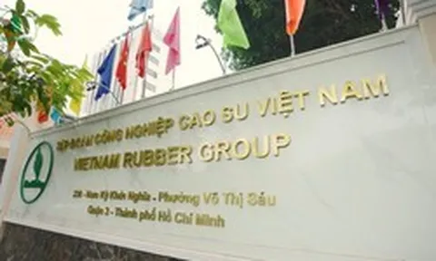 Một tập đoàn Nhà nước trả cho nhân sự trung bình 53 triệu đồng/tháng