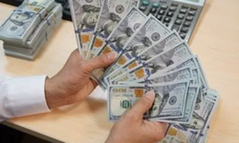 Người mua, bán ngoại tệ sẽ bị tịch thu số tiền nếu thực hiện hành vi sau