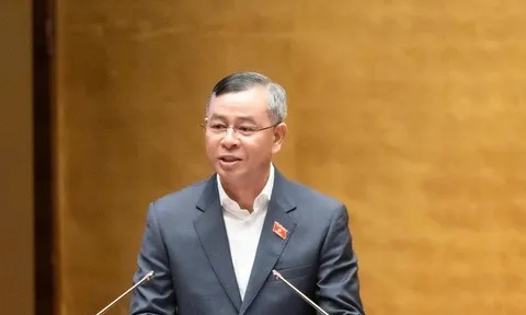 Bộ trưởng Bộ Tài chính: Ngưỡng chịu thuế 1 tỷ đồng với hộ kinh doanh là hài hoà