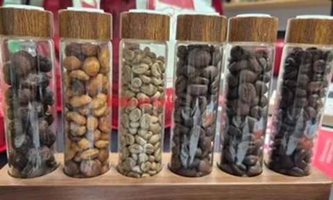 Giá cà phê hôm nay 26-4: Khó chốt thời điểm mua bán