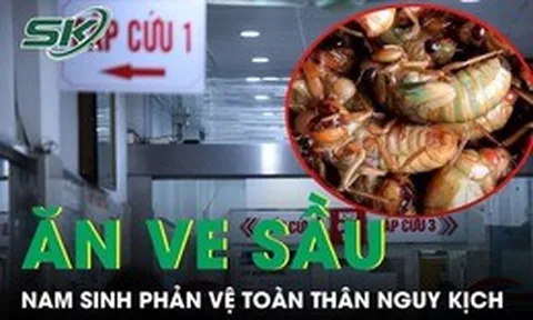 Ăn 2 con ve sầu, nam sinh 17 tuổi nhập viện lúc nửa đêm vì phản vệ toàn thân