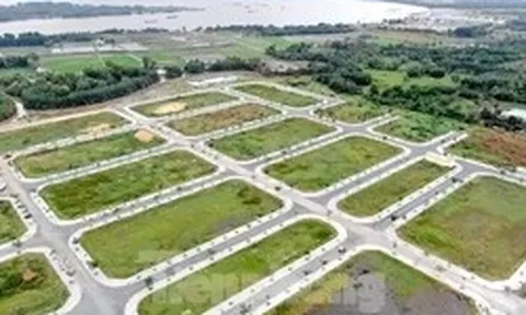 Công an TPHCM xác minh thông tin 2,5 triệu thửa đất