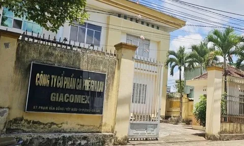 Phát hiện sai phạm trong cổ phần hóa công ty cà phê, kiến nghị chuyển hồ sơ sang công an