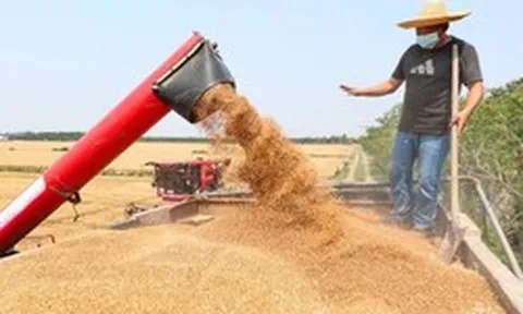Không phải sầu riêng, Campuchia vừa đón tin cực vui ở mặt hàng đang cạnh tranh với Việt Nam - Trung Quốc góp công lớn