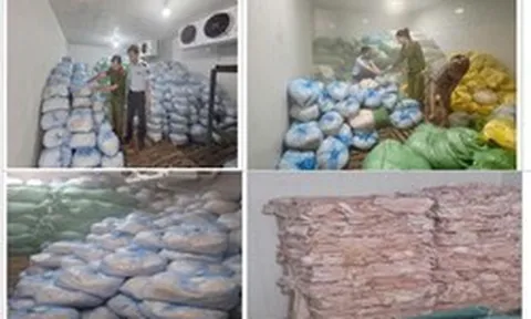 Thanh Hóa thu giữ 2 kho hàng chứa 14 tấn bì lợn, tổng giá trị hơn 400 triệu đồng