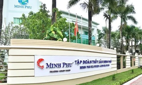 "Vua tôm" Minh Phú lãi quý I/2026 gấp 12,5 lần, hoàn thành gần 20% kế hoạch năm