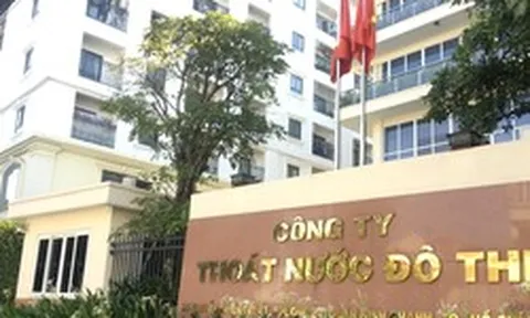 TPHCM: Doanh nghiệp tự nguyện trả lại gần 7.000 m2 đất