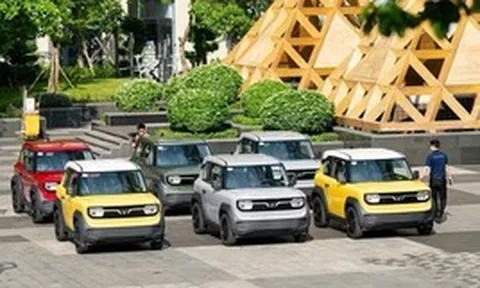 Phát hiện VinFast của tỷ phú Phạm Nhật Vượng đã làm một việc 'không biết mệt' trong 19 tháng qua
