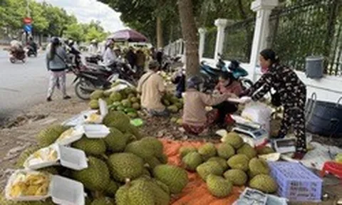 Con đường 'hot' nhất miền Tây: Nông dân đội nắng bán sầu riêng cả ngày