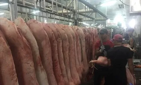 Giá heo hơi hôm nay, 15-5: Các vùng miền đều giảm