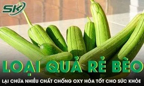Loại quả rẻ bèo bán đầy chợ nhưng lại chứa nhiều chất chống oxy hóa tốt cho sức khỏe