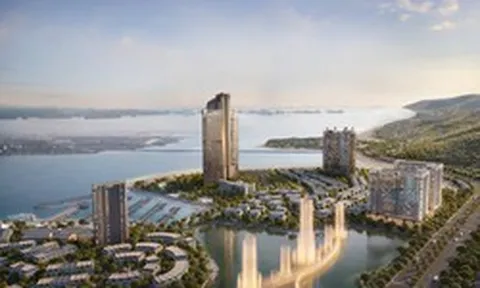 Giữa làn sóng đại dự án, dữ liệu nói gì về bất động sản Hạ Long?