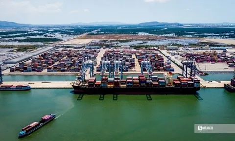 Cước biển tăng tới 80%, hàng Việt sang Nam Mỹ chịu áp lực cạnh tranh lớn