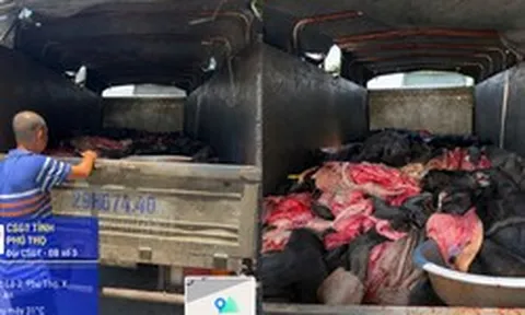 Mở thùng xe tải bịt kín khả nghi giữa Quốc lộ 2, lực lượng chức năng phát hiện cảnh tượng ám ảnh bên trong