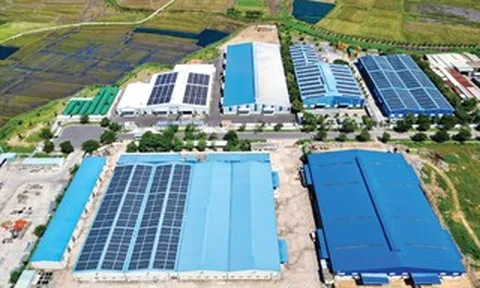 Thêm động lực cho điện mặt trời Việt Nam
