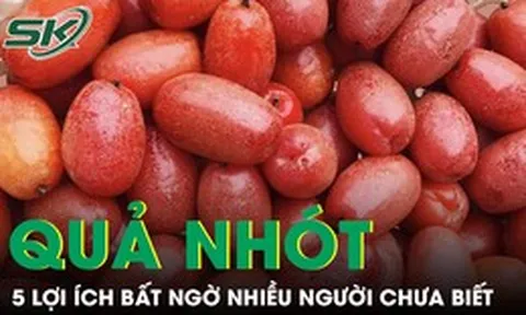 5 lợi ích bất ngờ của quả nhót với sức khỏe, nhiều người chưa biết