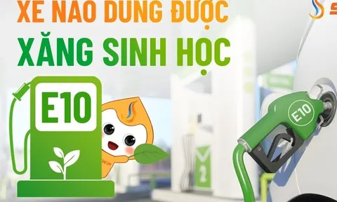 Xăng E10 bán đại trà, các hãng công bố mẫu xe tương thích và chế độ bảo hành