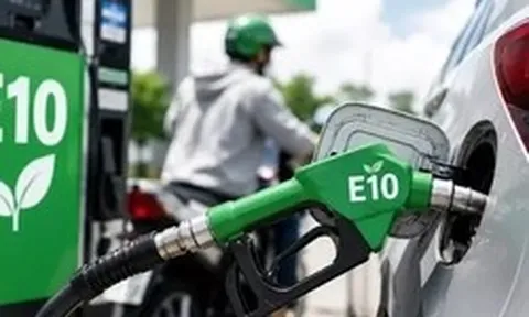 Ai chịu trách nhiệm nếu xe hỏng do sử dụng xăng E10?