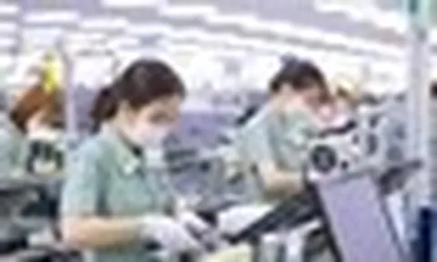 Ba nhóm hàng xuất khẩu mang về hơn 109 tỷ USD cho Việt Nam