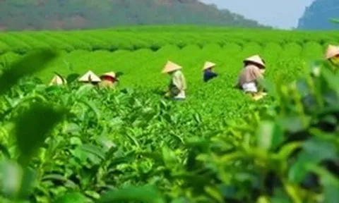Thái Nguyên đề xuất thu hồi đất để triển khai 32 dự án