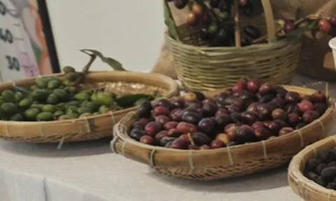 Giá cà phê hôm nay 26-6: Robusta tăng 3 phiên liền, cà phê Việt mở rộng thị phần tại Mỹ