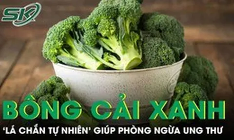 Loại rau bán đầy chợ lại rất bổ dưỡng, được ví như 'lá chắn tự nhiên' phòng ngừa ung thư
