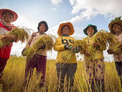 Một mặt hàng 300.000 tấn của Campuchia nhận tin vui lớn từ Việt Nam