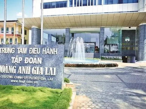 HAGL chốt quyền tham dự ĐHĐCĐ thường niên 2026