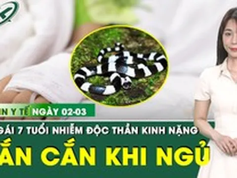 Bản tin Y tế 2/3: Bé gái 7 tuổi nhiễm độc thần kinh nặng do bị rắn cắn khi đang ngủ dưới nền nhà