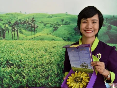 Hồi sinh loại cây từng bị đốn làm củi, chứa 'chất quý' gấp 135 lần bình thường, nữ giám đốc thu hơn 1 tỷ đồng/tấn