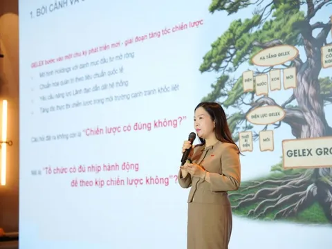 Lãnh đạo tập đoàn nghìn tỷ bị thu điện thoại: Chuyện lạ ở GELEX và cú vặn mình từ 18% lên 88% sau 180 ngày tái thiết