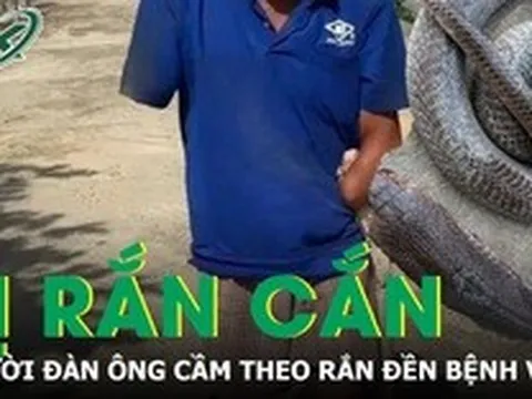 Bị rắn hổ mang cắn, người đàn ông cầm theo con rắn 2m đến bệnh viện