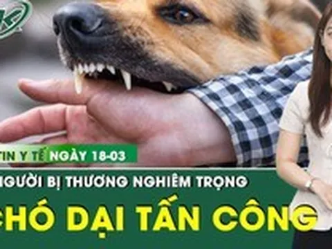 Bản tin Y tế 18/3: 3 người dân bị chó dại tuột xích tấn công nguy kịch