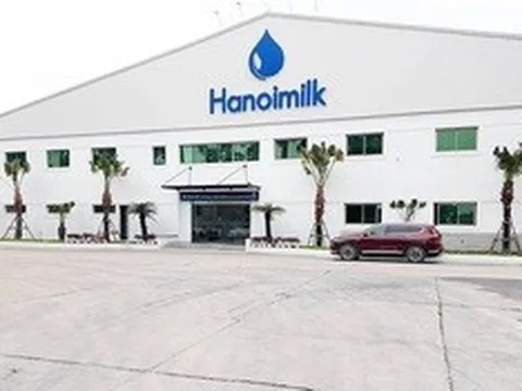 Cổ phiếu Hanoimilk liên tục “chuyền tay” nội bộ