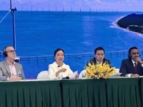 Đầu tư dự án hàng tỷ đô la nhưng bán điện thu VND, Chủ tịch REE chỉ ra rủi ro khiến các dự án điện gió gặp khó