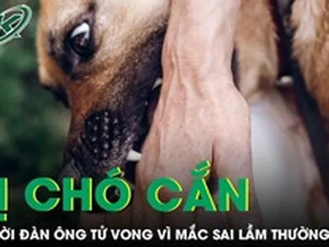 Người đàn ông tử vong sau khi bị chó cắn vì mắc sai lầm thường gặp