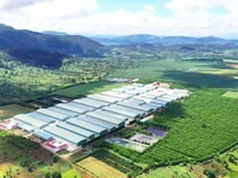 Ngân hàng đồng hành thúc đẩy kinh tế địa phương, ưu tiên phát triển bền vững