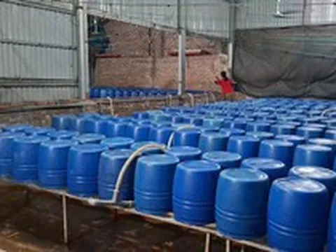 Cận cảnh bên trong cơ sở sản xuất hơn 500 tấn giá đỗ có sử dụng chất độc hại