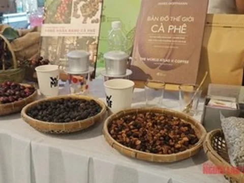 Giá cà phê hôm nay 5-4: Chuẩn bị cho kịch bản giá giảm