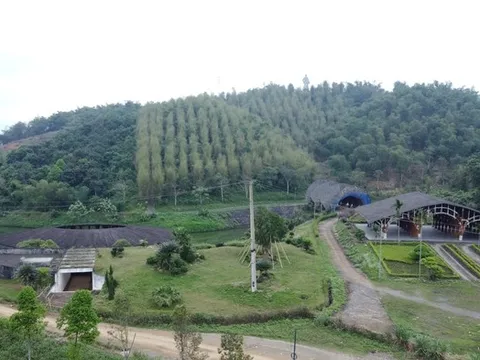 Số phận "bảy nổi, ba chìm" của Công viên sinh thái tre luồng hơn 300 tỷ